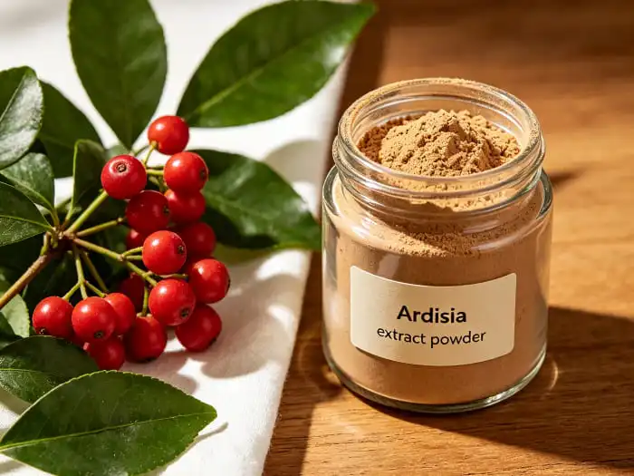 How is Ardisia Extract Typically Manufactured?